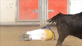 Course landaise de Peyre 17 08 2019 [upl. by Cynthy]