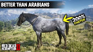 5 Horses Faster than Arabians amp Get them as Arthur Early  Red dead redemption 2 [upl. by Yde]