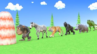 Long Slide Game With Elephant Gorilla Buffalo Hippopotamus Tiger 3d Animal Game Funny 3d Animals [upl. by Lertsek]