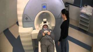 Introduction to fMRI [upl. by Islean]