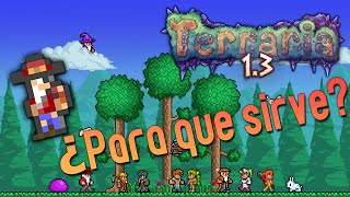 Terraria Español  ¿Para que sirve el quotClothier Voodo dollquot  ByGaston [upl. by Hilleary]