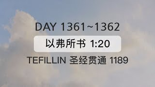 Tefillin Day 13611362 以弗所书 120 宣布圣经 50次 [upl. by Ober]