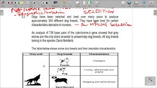 GRADE 12 EVOLUTION REVISION PAPER 2 [upl. by Jerri]