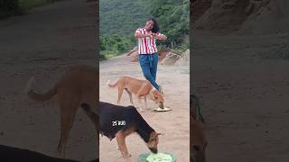 ❤️25JULY❤️🐕UNST🚫PPABLE L🤍VE STORY🐕❤️PT02❤️dogcatlovemotivationbeautifulytshortsviralvideo [upl. by Rycca]