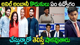 Anil Ambani Two Sons Jay Anmol Ambani And Jay Anshul Ambani Job Detailsఅనిల్ అంబానీ పిల్లలు Jobs [upl. by Sprague]