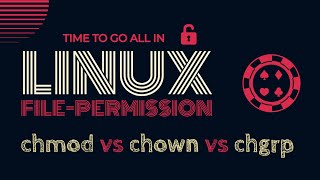 Linux File Permissions  How Linux File Permissions Work Chmod vs Chown  Chown vs Chgrp [upl. by Razatlab348]