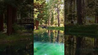 Visit the Scenic Clotilde Merlo Park in Stirling City California │ Explore Butte County [upl. by Gerstein273]