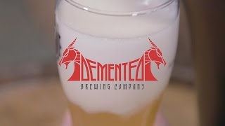 Fizzics Brewers Spotlight  Demented Brewing Company [upl. by Leahcimdivad975]