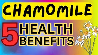 CHAMOMILE TEA  5 AMAZING HEALTH BENEFITS EXPLAINED [upl. by Nnylsoj]