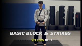 Block amp Strike for current yellow belt [upl. by Raji]