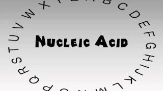 How to Say or Pronounce Nucleic Acid [upl. by Neruat]