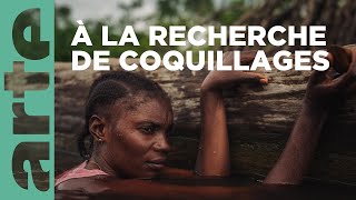 Plongée au coeur du delta du Congo  360° Reportage  ARTE Family [upl. by Zandra]