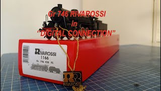 RIVAROSSI Gr 746 in Digital Connection [upl. by Dorran763]