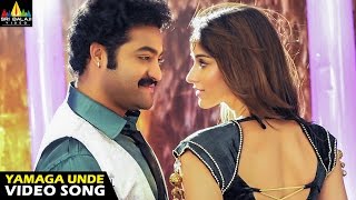 Shakti Songs  Yamaga Unde Video Song  Jr NTR Ileana  Sri Balaji Video [upl. by Vilhelmina]