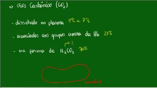 Sistema Respiratório  Reações da Hematose  Aula 2 [upl. by Cointon]