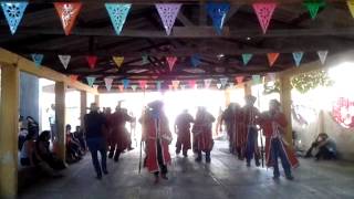 Tecuanes 2014 Cd Altamirano Gro [upl. by Nickey254]