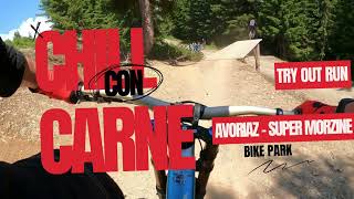 Chill Con Carne  Avoriaz  Super Morzine  Chatel  bike park [upl. by Teague]