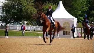 Pferd International 2012 dressage warming up area [upl. by Novyad]