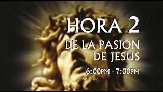 02 de 24 I Horas de la Pasión de Jesús Luisa Piccarreta Divina Voluntad [upl. by Rramel521]