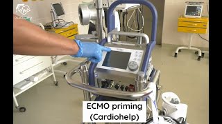 ECMO priming Cardiohelp [upl. by Cosenza]