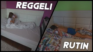 REGGELI RUTINUNK LAURA VS NORMAN [upl. by Beach]