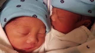 Monochorionic Diamniotic Twins I Identical Twins I Share the Same Placenta I TWINventures [upl. by Lime]