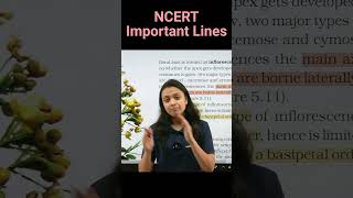 Racemose vs cymose inflorescence  NCERT important lines for NEET  Revision Biology NEET [upl. by Eek]