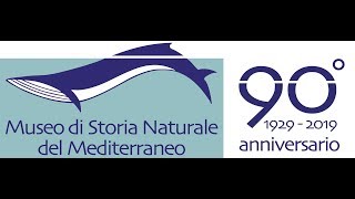 Museo di Storia Naturale del Mediterraneo di Livorno  Anniversario 90° anno [upl. by Onyx871]