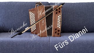 Fürs Dianei  Steirische Harmonika [upl. by Ykcim]