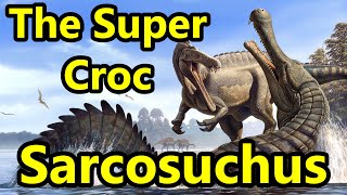 Sarcosuchus The Prehistoric Super Croc [upl. by Devon]