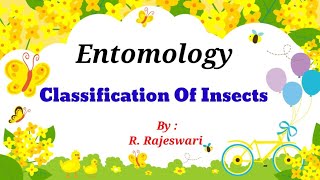 🐞Entomology 🕷️ 🐝Classification Of Insects🐛🐜Insecta Orders  Slideshare  Ppt 🦋 [upl. by Ainig530]