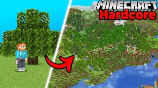 I Transformed an Oak Forest in Hardcore Minecraft Survival [upl. by Irehj]