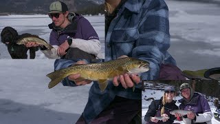 Beautiful Trout Great People And Good Beer  Early Ice Fishing For TIGER Trout and KOKANEE Salmon [upl. by Netnert]