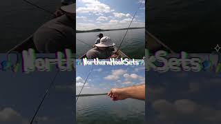 Catching a fish without a rod shorts linefishing oldschoolfishing norodnoproblem [upl. by Delmer677]