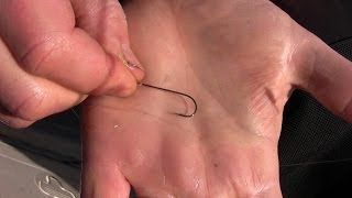 How to Rig a Live Minnow for Maximum Action  Different Ways to Hook Minnows [upl. by Melburn988]