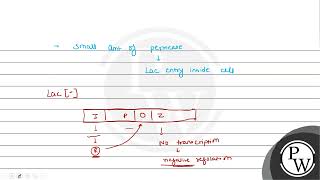 What type of regulation is exhibited by the lac operon through the action of the repressor prote [upl. by Aihsakal]