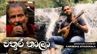 Wathura Naala Christopher Paul Mandolin Cover Kaweesha Athukorala [upl. by Hsot]