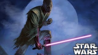 The Story of Mace Windu AFTER Revenge of the Sith  Star Wars Explained [upl. by Soinotna]