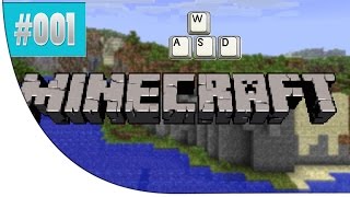 Minecraft Dragon Block C Cheat Commands Add TP Level Up Attributes [upl. by Ahsital]