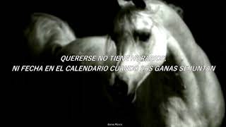 Caballo Viejo Roberto Torres Letra [upl. by Teddman]