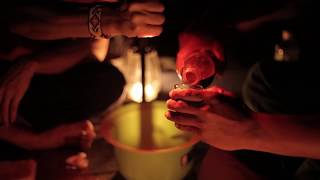 A Peek Inside an Ayahuasca Retreat at the Temple of the Way of Light [upl. by Anhaj570]