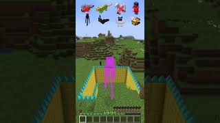 Spike Fall vs Different Mobs shorts meme minecraft [upl. by Barnard514]