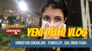 HİNDİSTAN VLOG  Yemekler sinekler ve fuar [upl. by Nairim988]