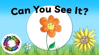 Preschool Learning  Learn Flowers Colours and Spelling  Orange Mexican Sunflower [upl. by Llatsyrc]