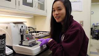 Postbac Life Lindsey Jay Demonstrates the Microtome [upl. by Hylan]