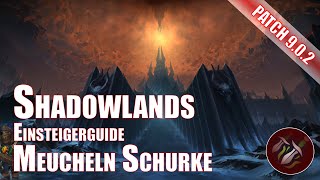 Shadowlands Meucheln Schurke Einsteigerguide World of Warcraft [upl. by Ahsilram]