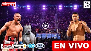 Pitbull Cruz vs Rolly Romero EN VIVO en Español Pelea Completa Pitbull vs Romero por Peso Ligero [upl. by Amatruda]