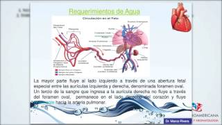 MANEJO DE LÍQUIDOS Y ELECTROLITOS EN NEONATOLOGÍA [upl. by Asilram]