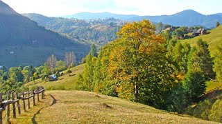 Coboara toamna  Cantec de toamna pentru copii [upl. by Carolan]