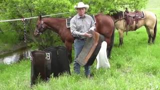 How to Care for a Saddle Pad [upl. by Yniffit]